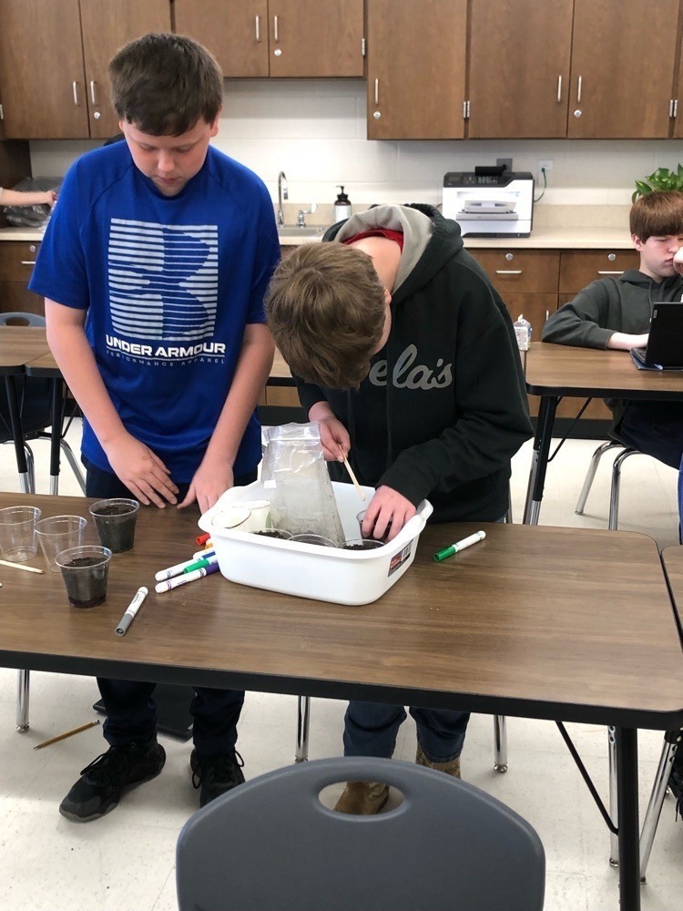Peterstown Middle School Students Plant Seeds Peterstown Middle School