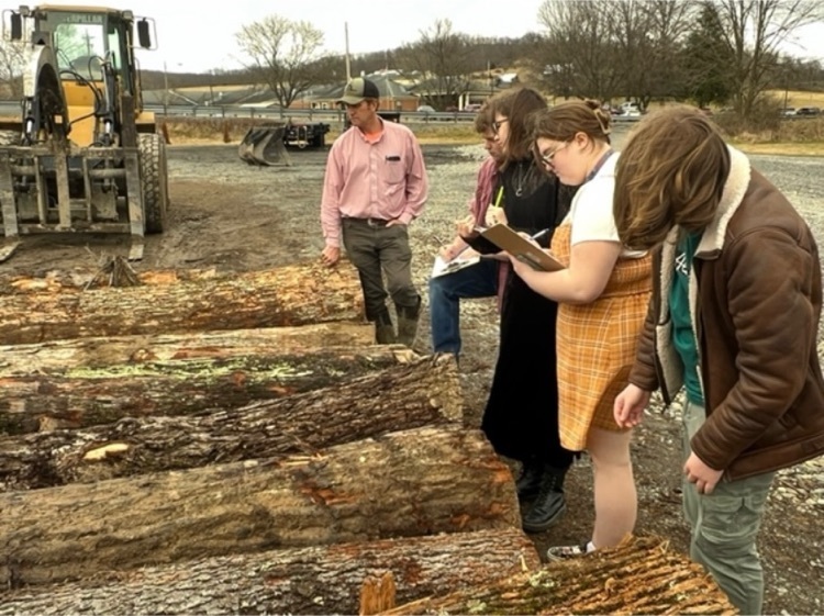 Seth, a buyer at Bower’s Log Yard in Lindside, shows team members how to identify trees by the bark. 